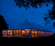 gallery-wedding-2