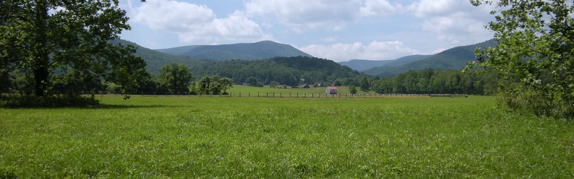 Blue Ridge Mountain View