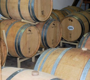 Sharp Rock wine aging in barrels.